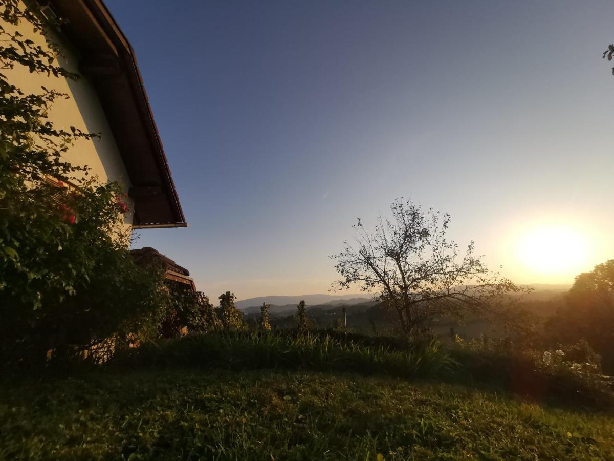 Apartma Pusa Pesnica pri Mariboru Dış mekan fotoğraf