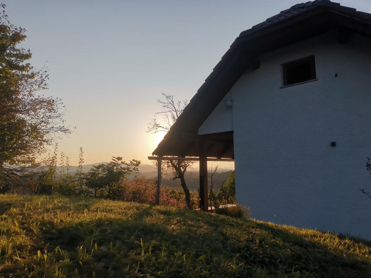 Apartma Pusa Pesnica pri Mariboru Dış mekan fotoğraf
