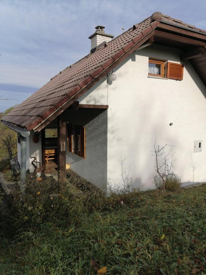 Apartma Pusa Pesnica pri Mariboru Dış mekan fotoğraf